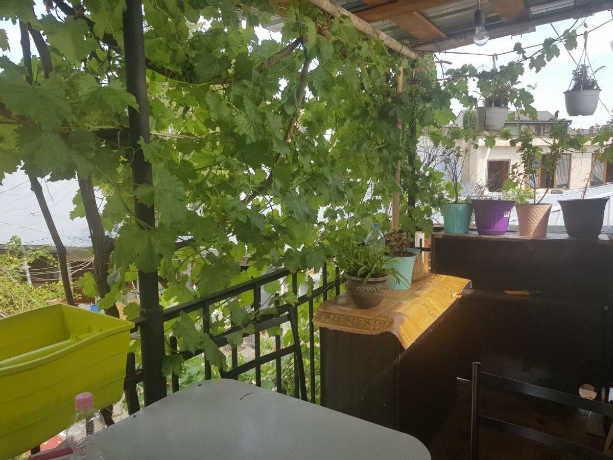 Kiev Hostel تبليسي المظهر الخارجي الصورة